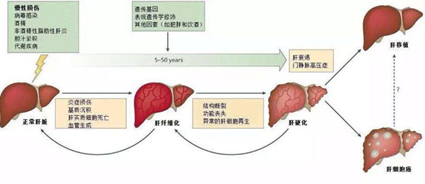 图片-3.jp3g.jpg