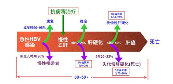 图片-5.jp3g.jpg